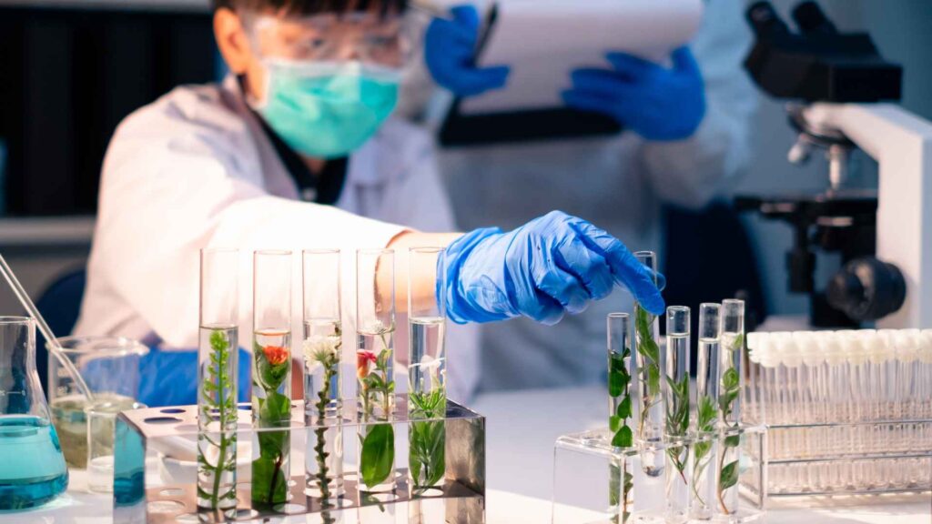 Next-Gen Customer Relationship Management (CRM) Application Increases Order Throughput by 150% for a Premium Natural Health Products Company