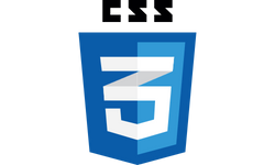 css3