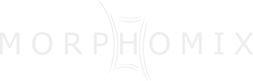 morphomix-logo